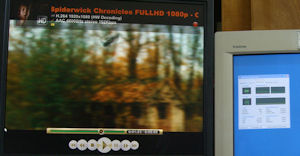 tnspiderwikchronicles-1080p.flv.jpg